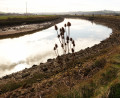 Looking South on the Ouse