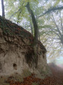 Lösshohlwege-Pfad Bickensohl - Vogtsburg im Kaiserstuhl