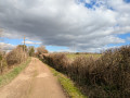 Low Lane