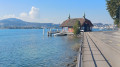 Lucerne