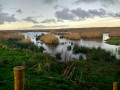 Lunt Meadows Nature Reserve