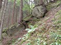 Lutte minéral/végétal