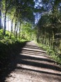 Macclesfield forest