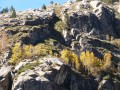 Magie de l'automne