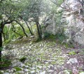 Aux alentours de Buoux Aux alentours de Buoux