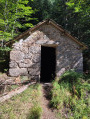 Forêt domaniale de l'Aigoual