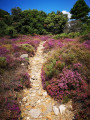 Magnifique traversée Magnifique traversée