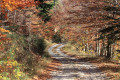 Couleurs d'automne