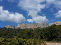 Magnifiques dentelles de Montmirail Magnifiques dentelles de Montmirail