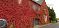 maison d'Automne