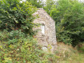 Maison dans la forêt