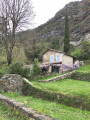 Maison "englycinée" ... Maison "englycinée" ...
