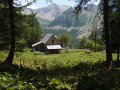 Maison forêstiere