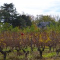 La boucle vallonnée de Juillac-Flaujagues La boucle vallonnée de Juillac-Flaujagues