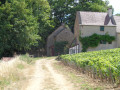 Maison Vigneronne près de Note Dame de la Salette
