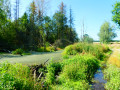 Balade entre Wideumont et Molinfaing