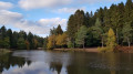 Mallards Pike Lake and Staple-edge Wood