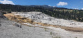Mammoth terraces