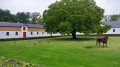 Agri - Ebeltoft