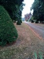 Rives de La Seine, Forêt de Roumare et châteaux autour de Sahurs Rives de La Seine, Forêt de Roumare et châteaux autour de Sahurs