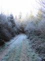 Manteau d'Hiver