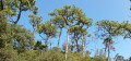 marais d'un coté forêt de l'autre