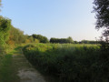 Marais de Colleville Montgomery