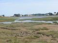 Marais de Laneros
