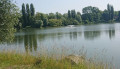 Marais de Meurchin