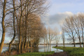 Marais de Picauville