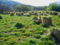 Marais de Vaux