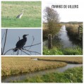 Marais de Villers