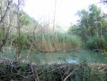 Marais des Bouligons