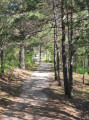marais des Bouligons