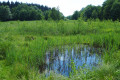 Marais du Bourget