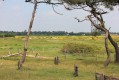 Marais et polder Marais et polder