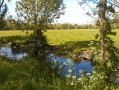Marais Poitevin