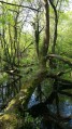 Marais Marais