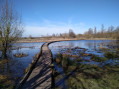 marais