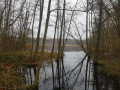 Marais