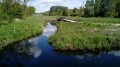 Marais
