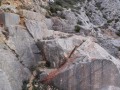 La Sainte-Victoire durch das Gestein von Clapier