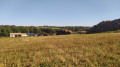marchand de bois