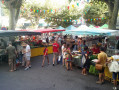 Marché de Sommieres