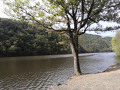 Gorges de la Loire et Plateau de la Danse depuis Saint-Victor sur Loire Gorges de la Loire et Plateau de la Danse depuis Saint-Victor sur Loire