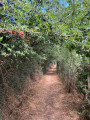 Le Bois de la Boulaie Le Bois de la Boulaie