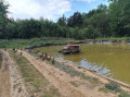 Mare aux canards et oies