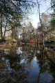Mare aux Couleuvreux