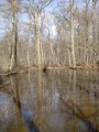 Mare aux Fourmis