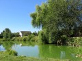 Mare aux Martinets